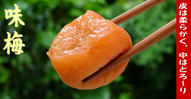 梅干の通販・古道の梅屋 | 味梅（塩分8％）